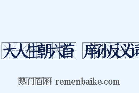 大人生朝六首·庠孙反义词是什么意思的图片